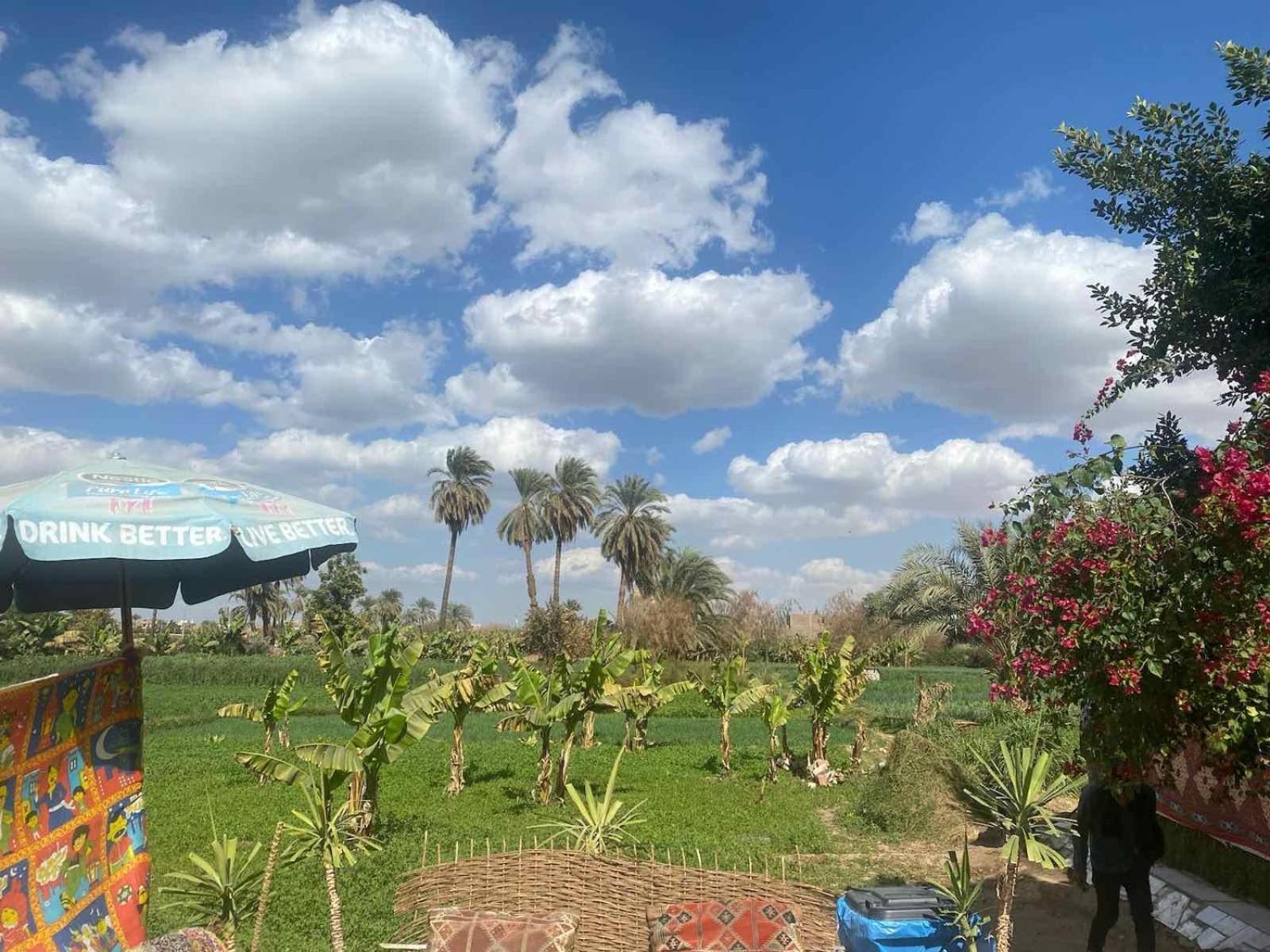 Peace Garden Hostel & Camp الأقصر المظهر الخارجي الصورة