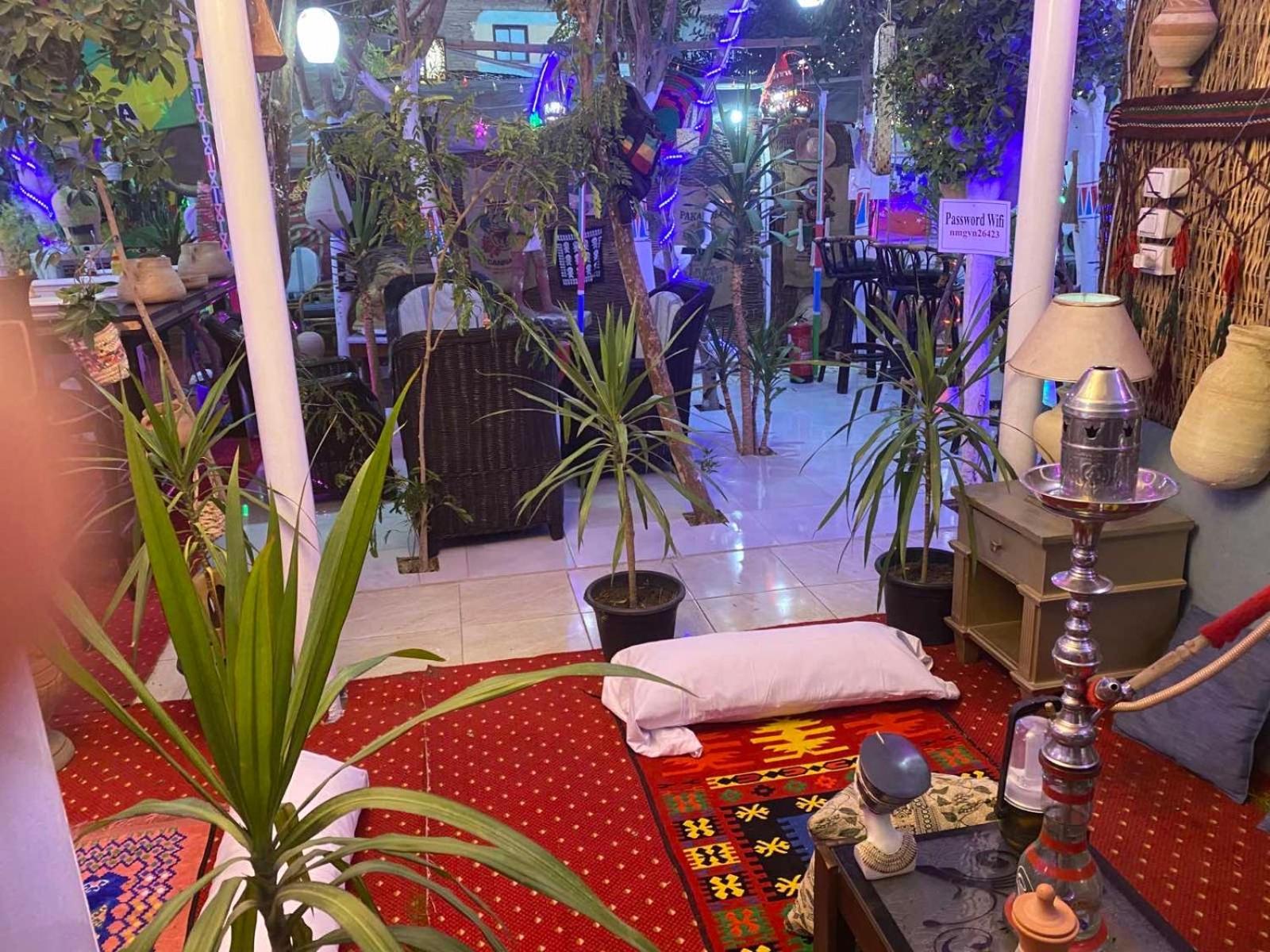 Peace Garden Hostel & Camp الأقصر المظهر الخارجي الصورة