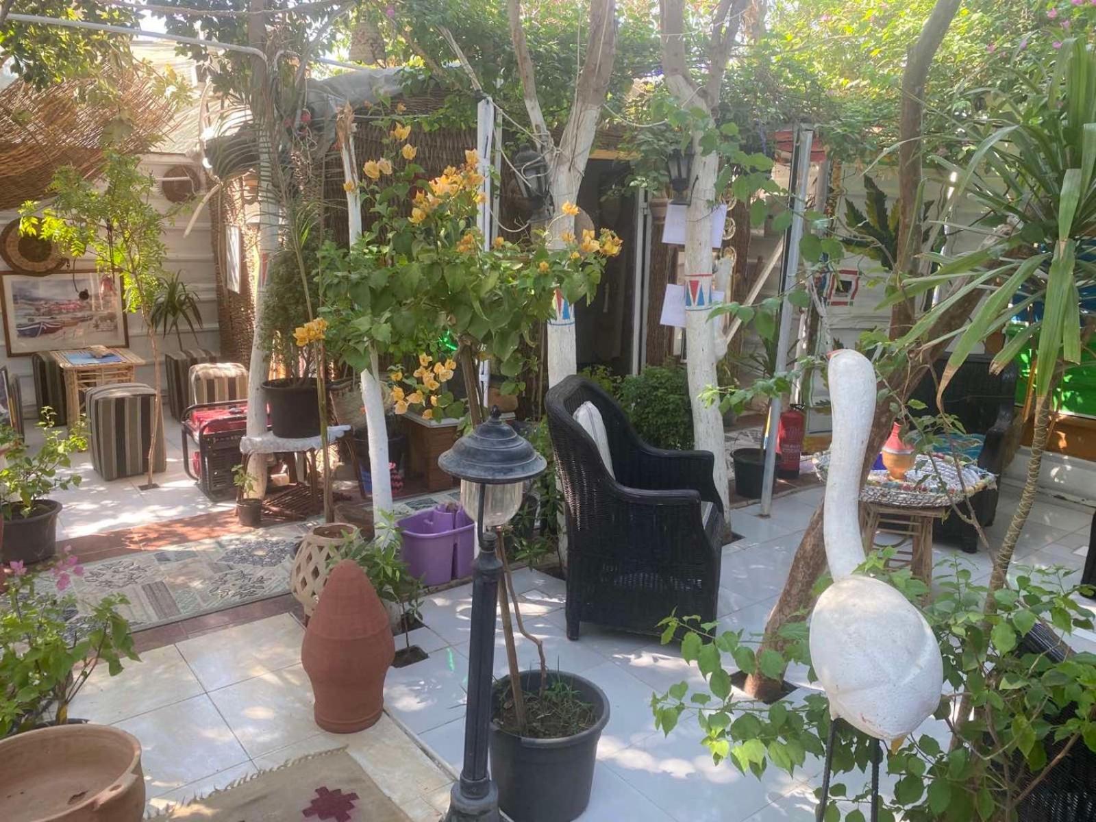 Peace Garden Hostel & Camp الأقصر المظهر الخارجي الصورة