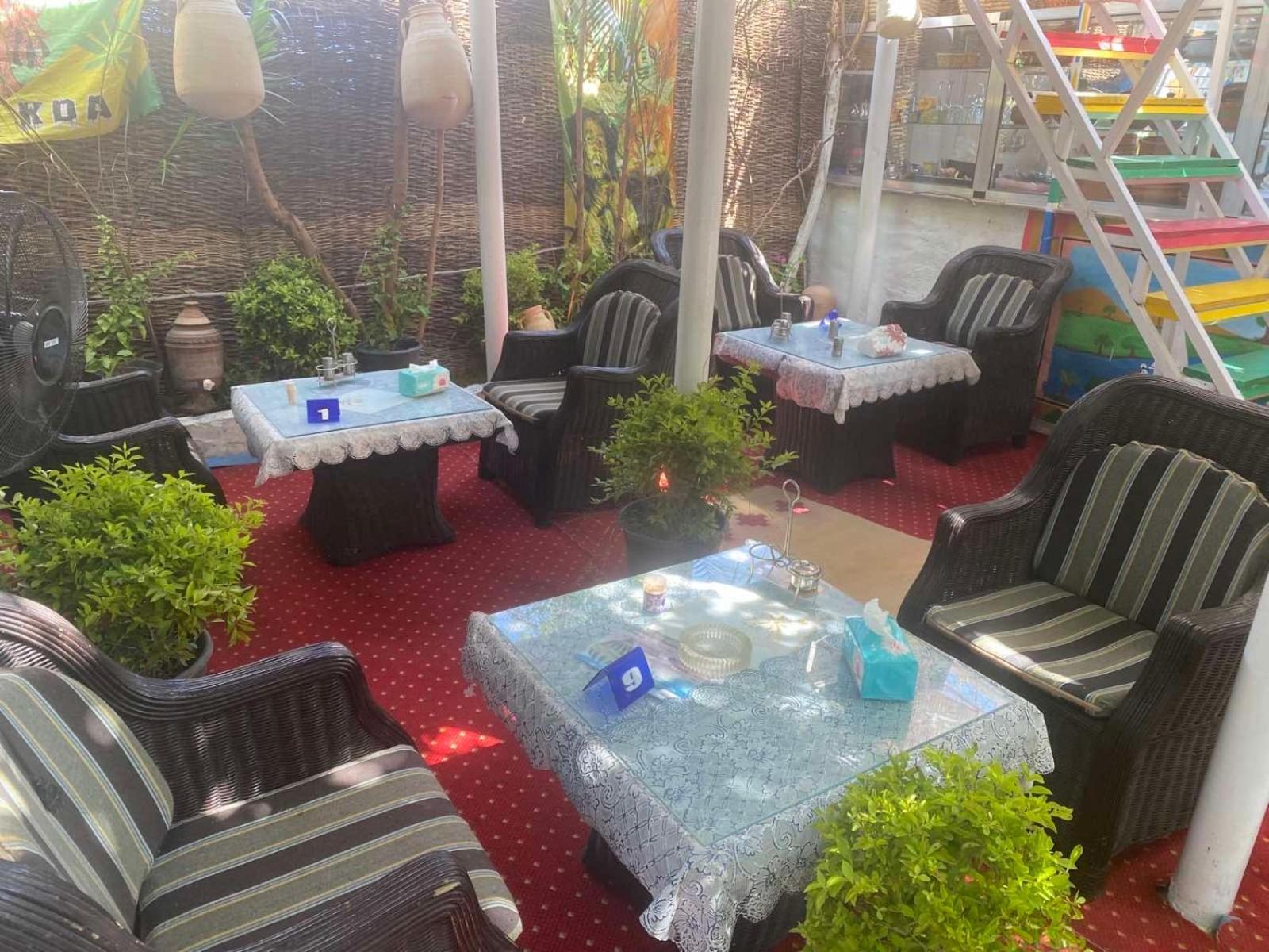 Peace Garden Hostel & Camp الأقصر المظهر الخارجي الصورة
