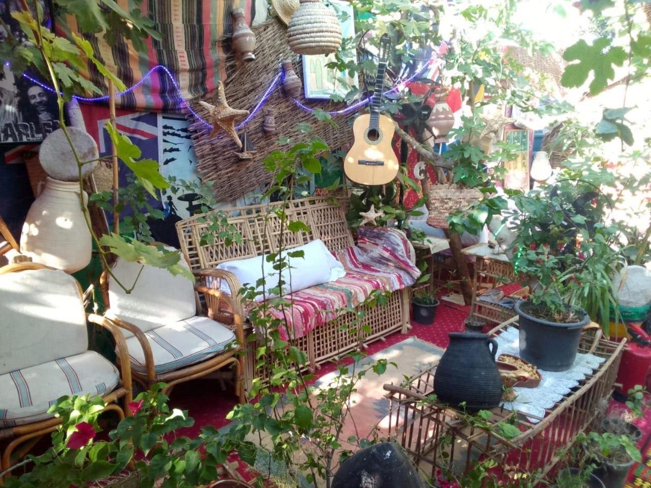 Peace Garden Hostel & Camp الأقصر المظهر الخارجي الصورة