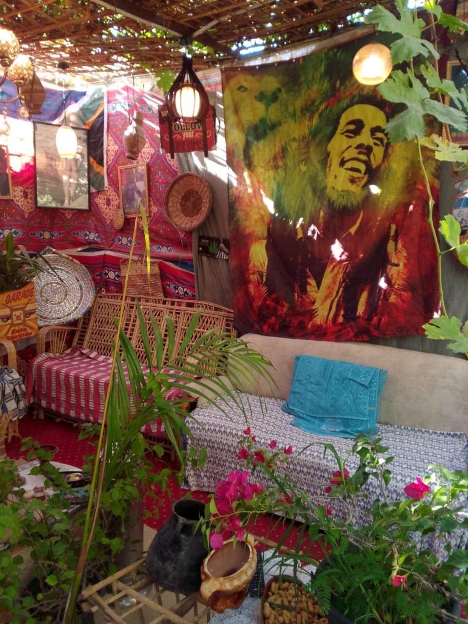 Peace Garden Hostel & Camp الأقصر المظهر الخارجي الصورة