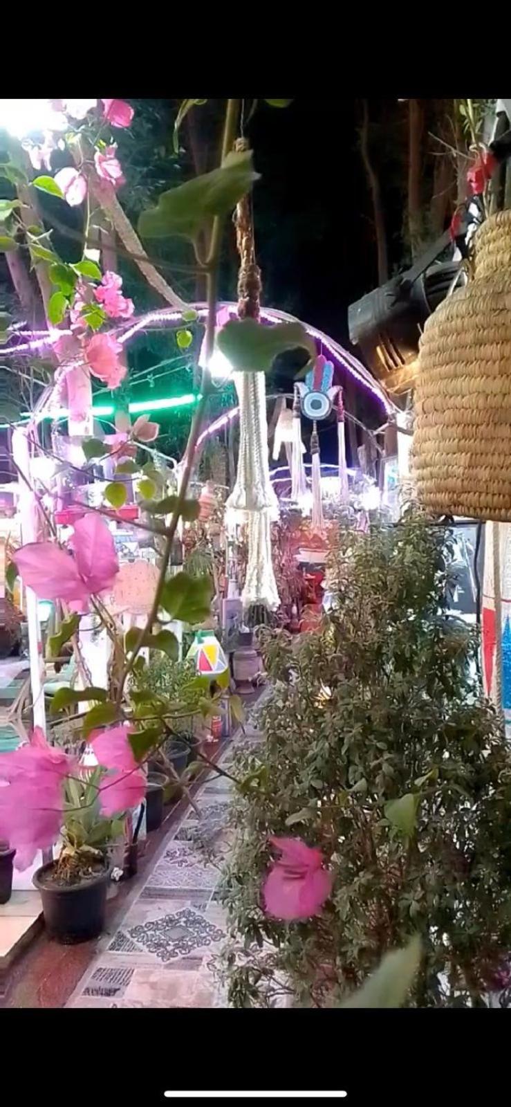 Peace Garden Hostel & Camp الأقصر المظهر الخارجي الصورة
