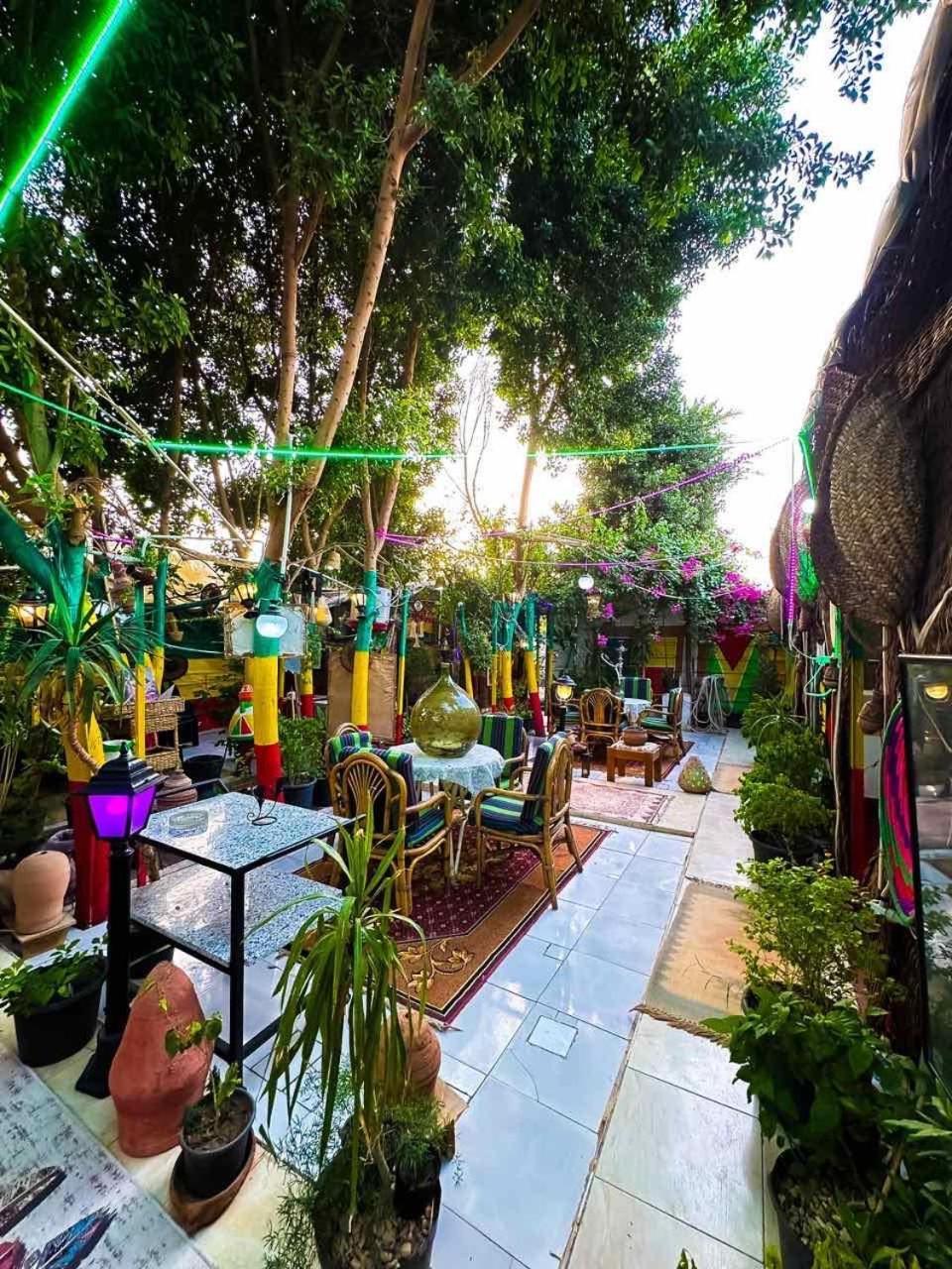 Peace Garden Hostel & Camp الأقصر المظهر الخارجي الصورة