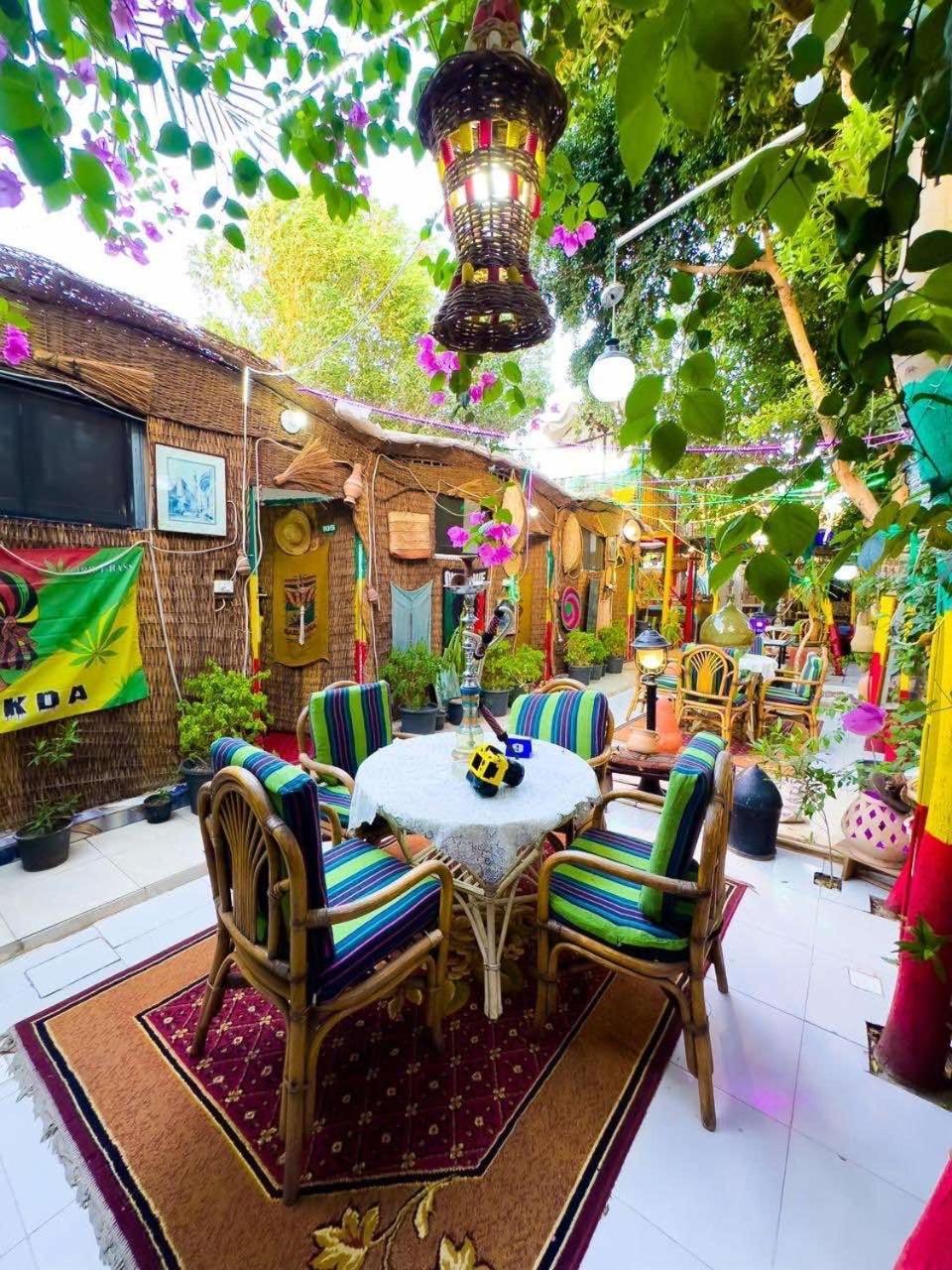 Peace Garden Hostel & Camp الأقصر المظهر الخارجي الصورة