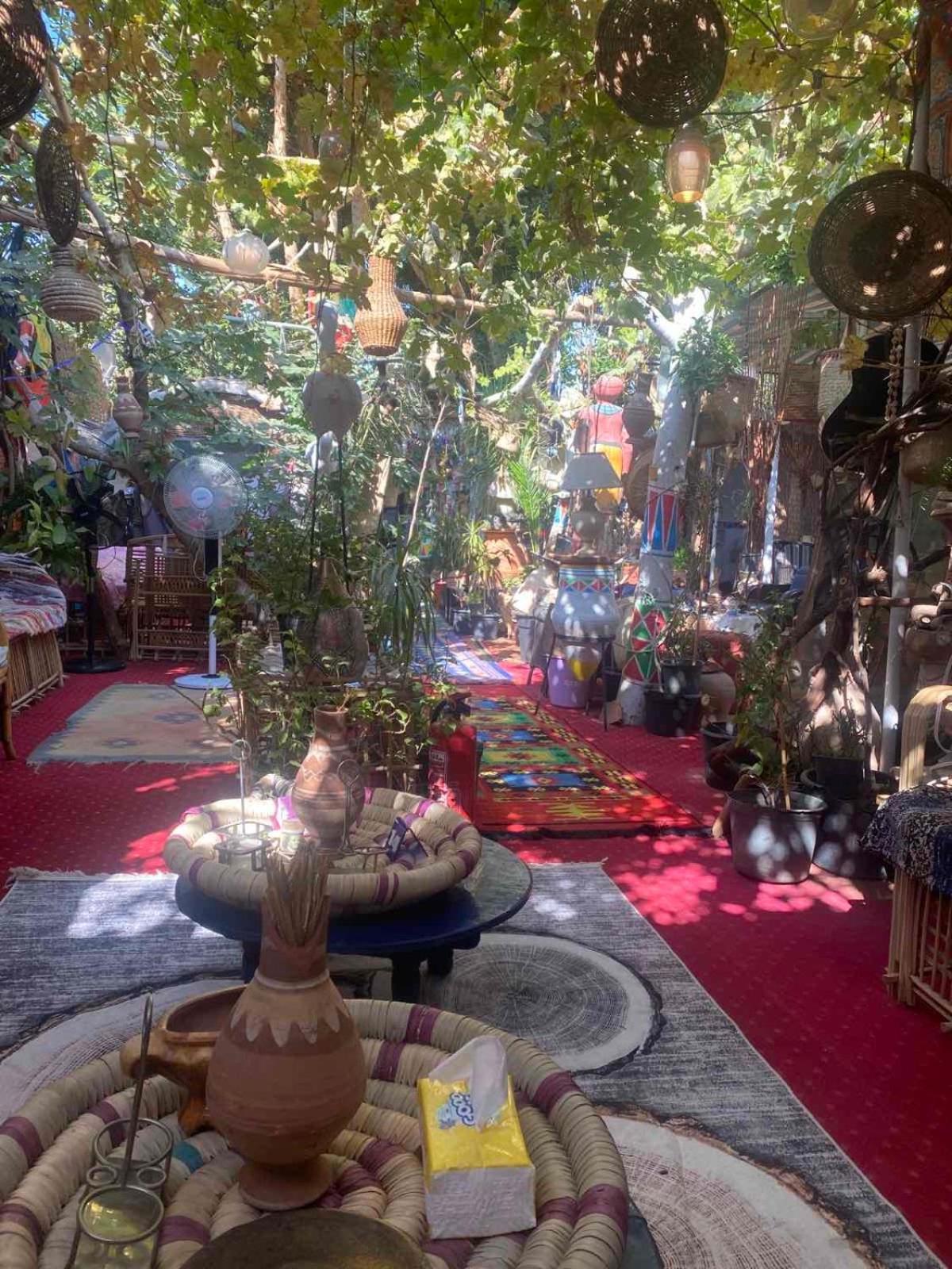 Peace Garden Hostel & Camp الأقصر المظهر الخارجي الصورة