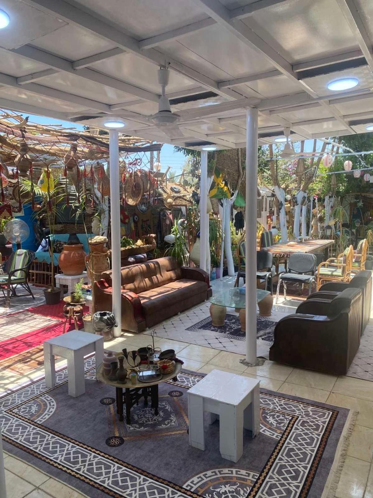 Peace Garden Hostel & Camp الأقصر المظهر الخارجي الصورة